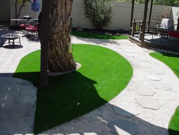 Artificial Grass Photos: Fake Pet Grass Port Hueneme California Back and Front Yard